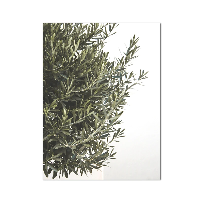 Plakat Puglia Włochy - architektura w stylu boho Zielony