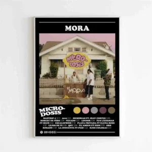 Plakat muzyczny rapera na ścianę Wzór 1