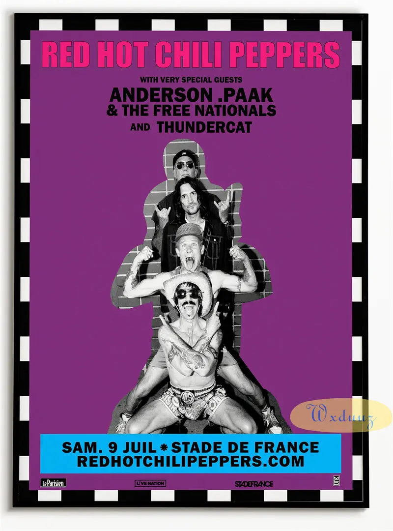 Plakat Red Hot Chili Peppers okładki albumów Wzór 3