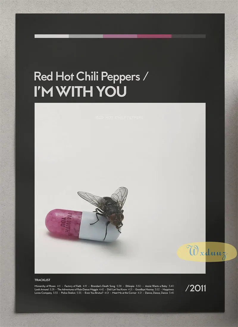 Plakat Red Hot Chili Peppers okładki albumów Wzór 8