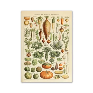 Plakat retro botaniczny z owadami i motylami Wzór 1