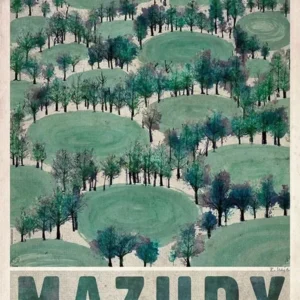 Plakat retro polskie miasta - Biebrza, Solina, Zakopane Khaki