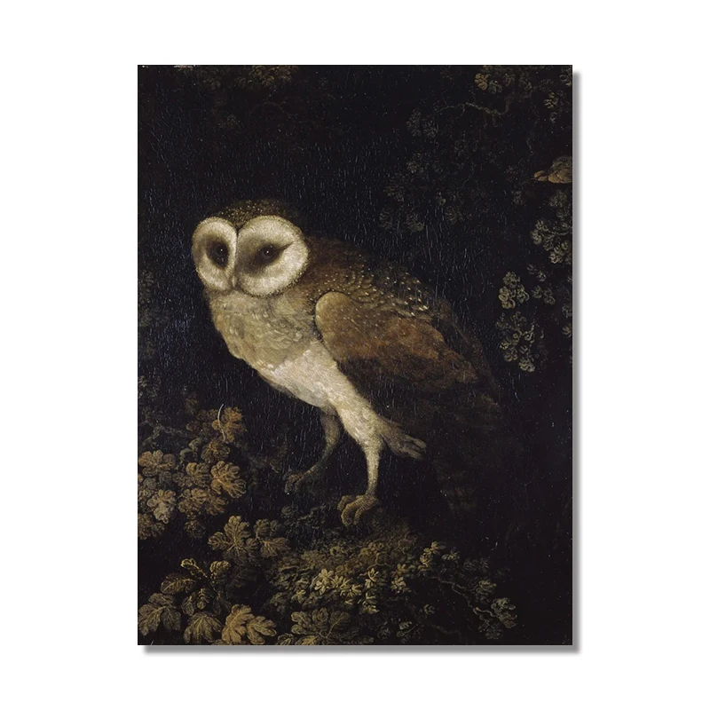 Plakat sowa - nastrojowy dark academia z motylami Wzór 2