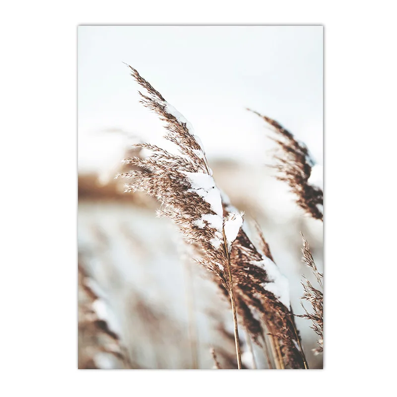 Plakat trawy i dmuchawce - boho Wzór 3