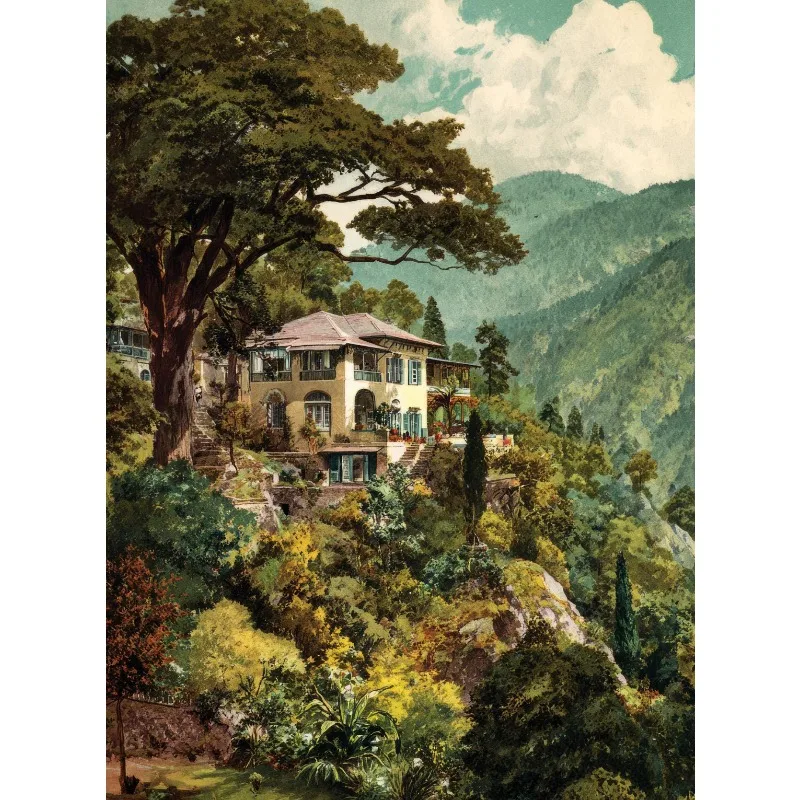 Plakat tropikalna dżungla vintage botaniczny Wzór 9