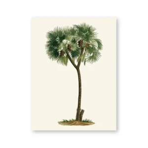 Plakat tropikalna palma vintage Wzór 1