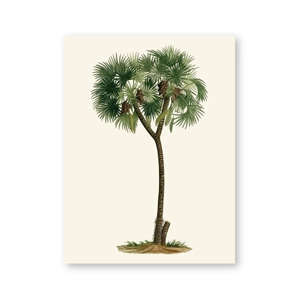 Plakat tropikalna palma vintage Wzór 1