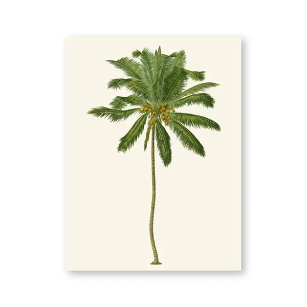 Plakat tropikalna palma vintage Wzór 2