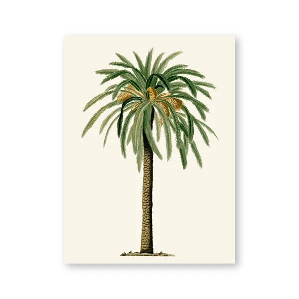 Plakat tropikalna palma vintage Wzór 3