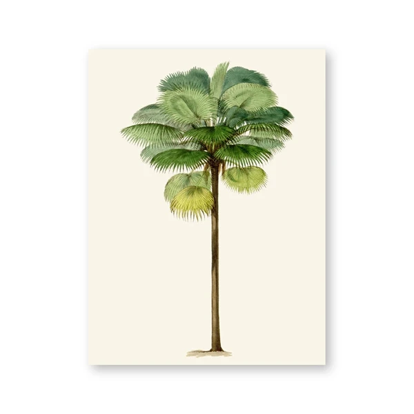 Plakat tropikalna palma vintage Wzór 4