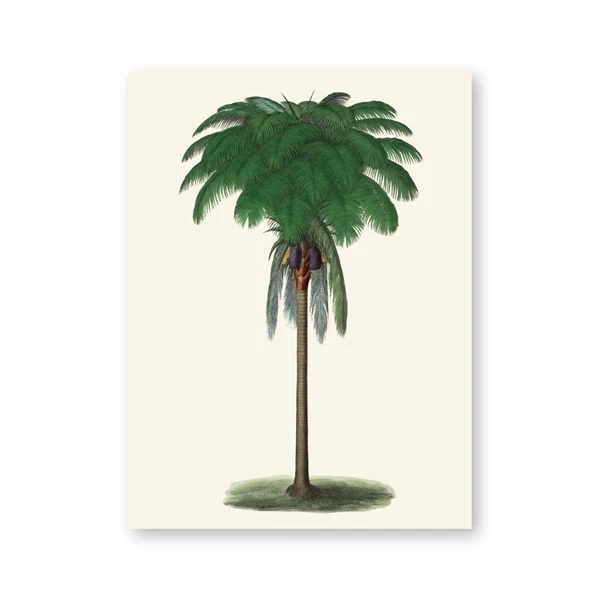 Plakat tropikalna palma vintage Wzór 5