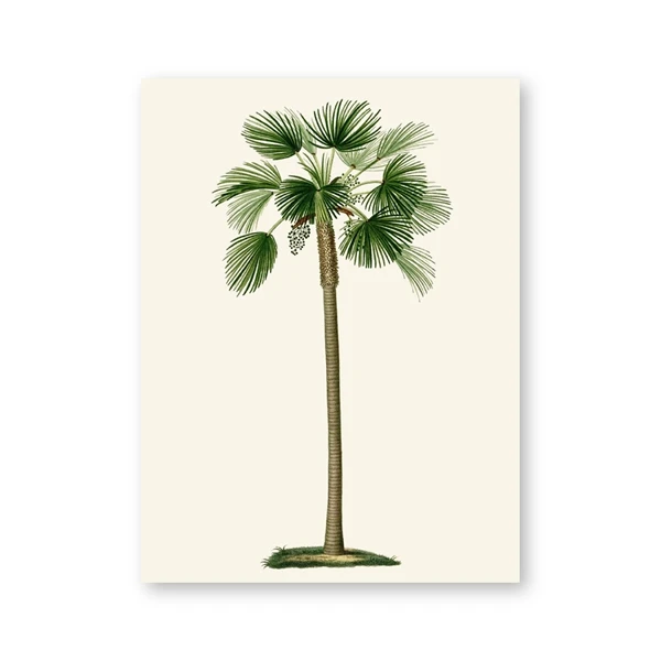 Plakat tropikalna palma vintage Wzór 6