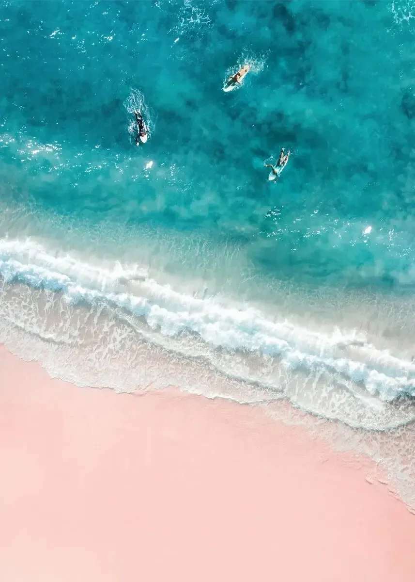 Tropikalna plaża i palmy w stylu nordyckim Brązowy