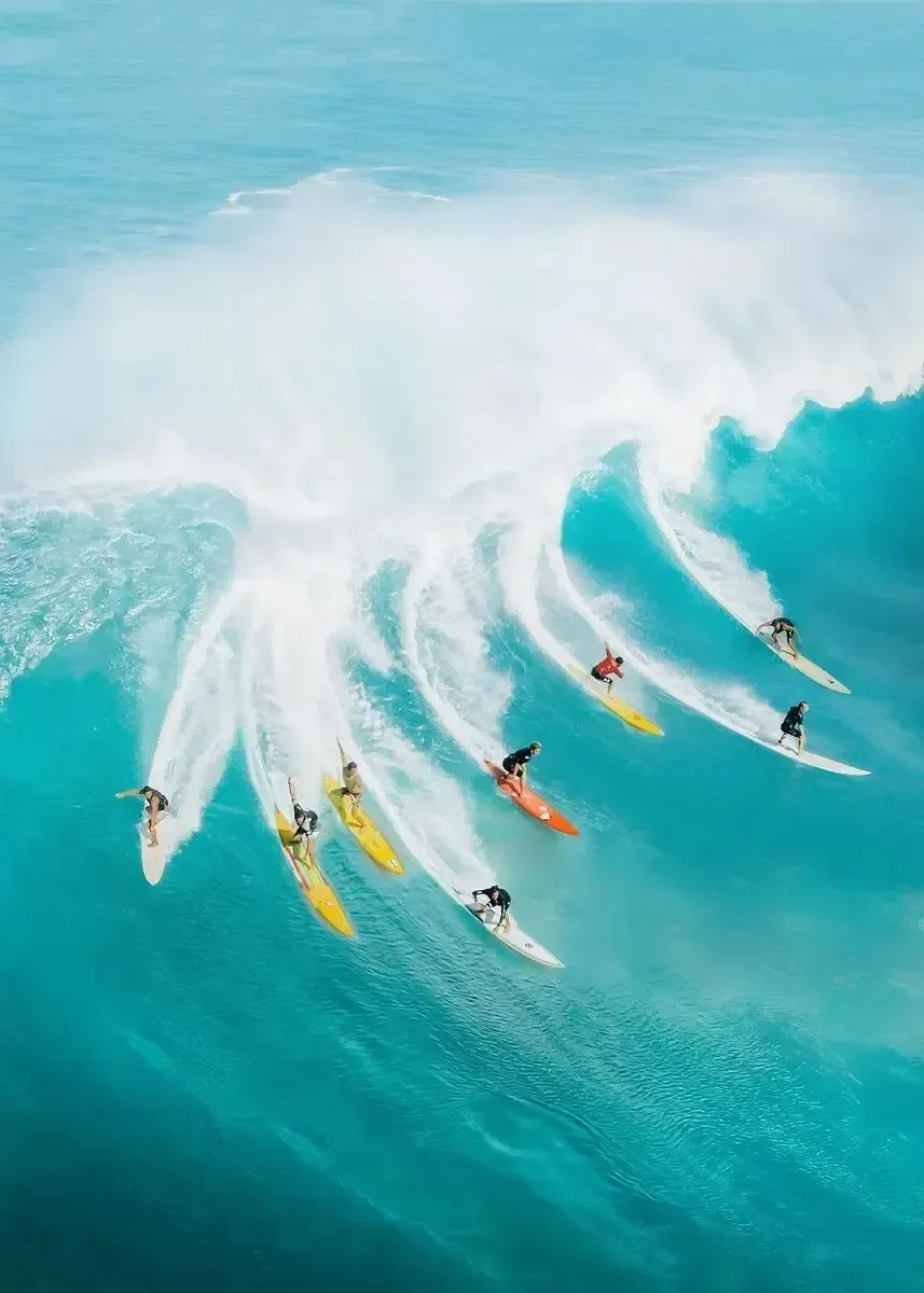 Plakat tropikalna plaża - palmy i surfing Wzór 3