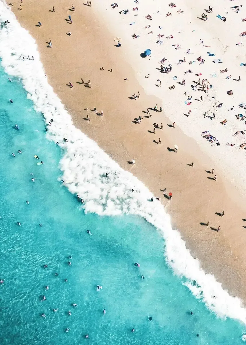 Plakat tropikalna plaża - palmy i surfing Wzór 5