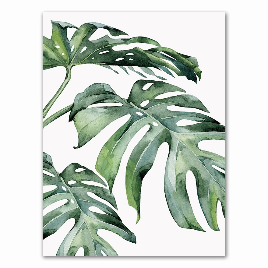 Plakat tropikalne liście botaniczny Wzór 5