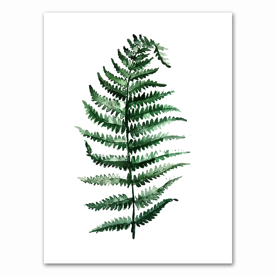 Plakat tropikalne liście botaniczny Wzór 6