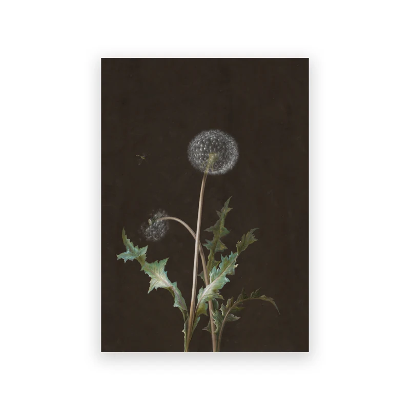 Plakat vintage biblioteka dark academia Czarny