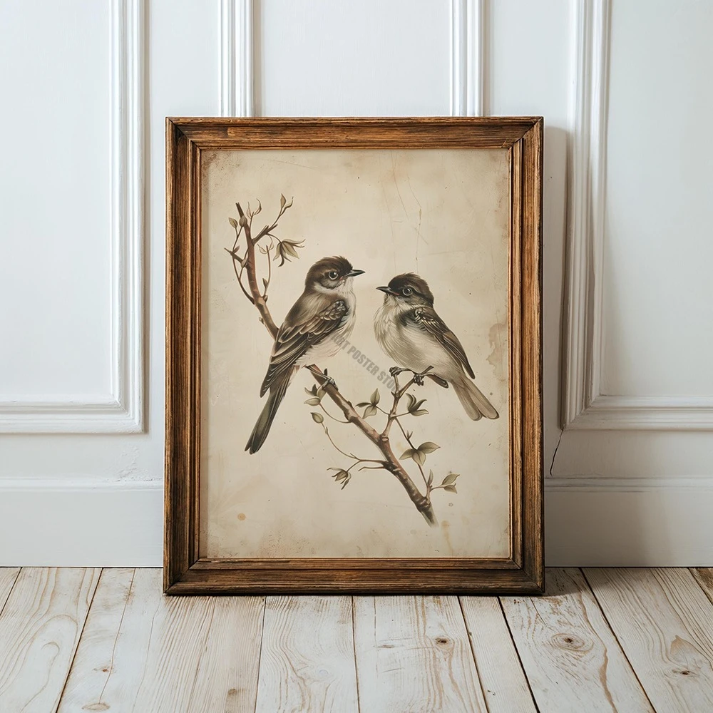 Plakat Vintage Ptaki Antyczny Szkic Farmhouse Wzór 3