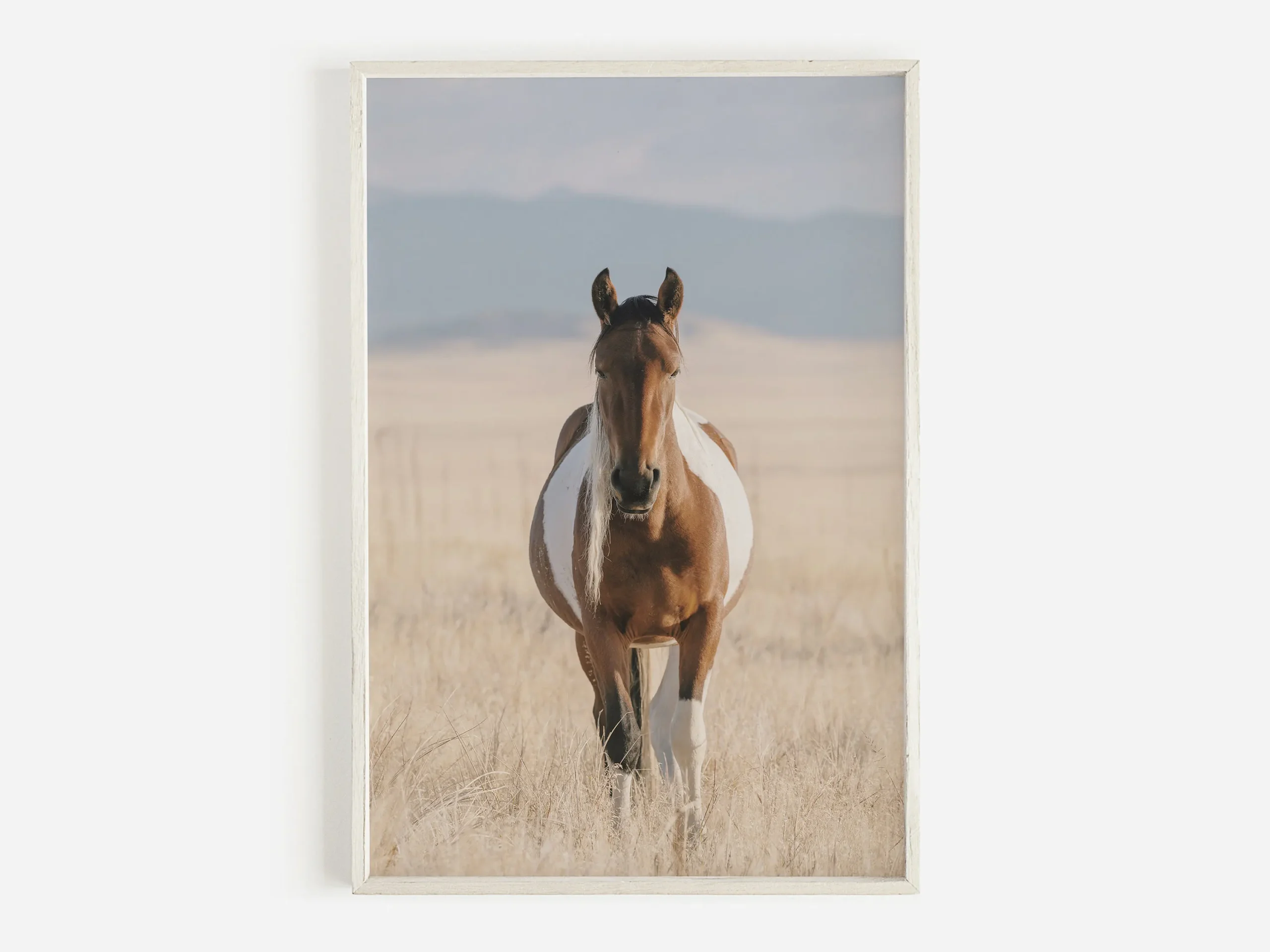 Plakat western - bizon, byk i koń Fioletowy