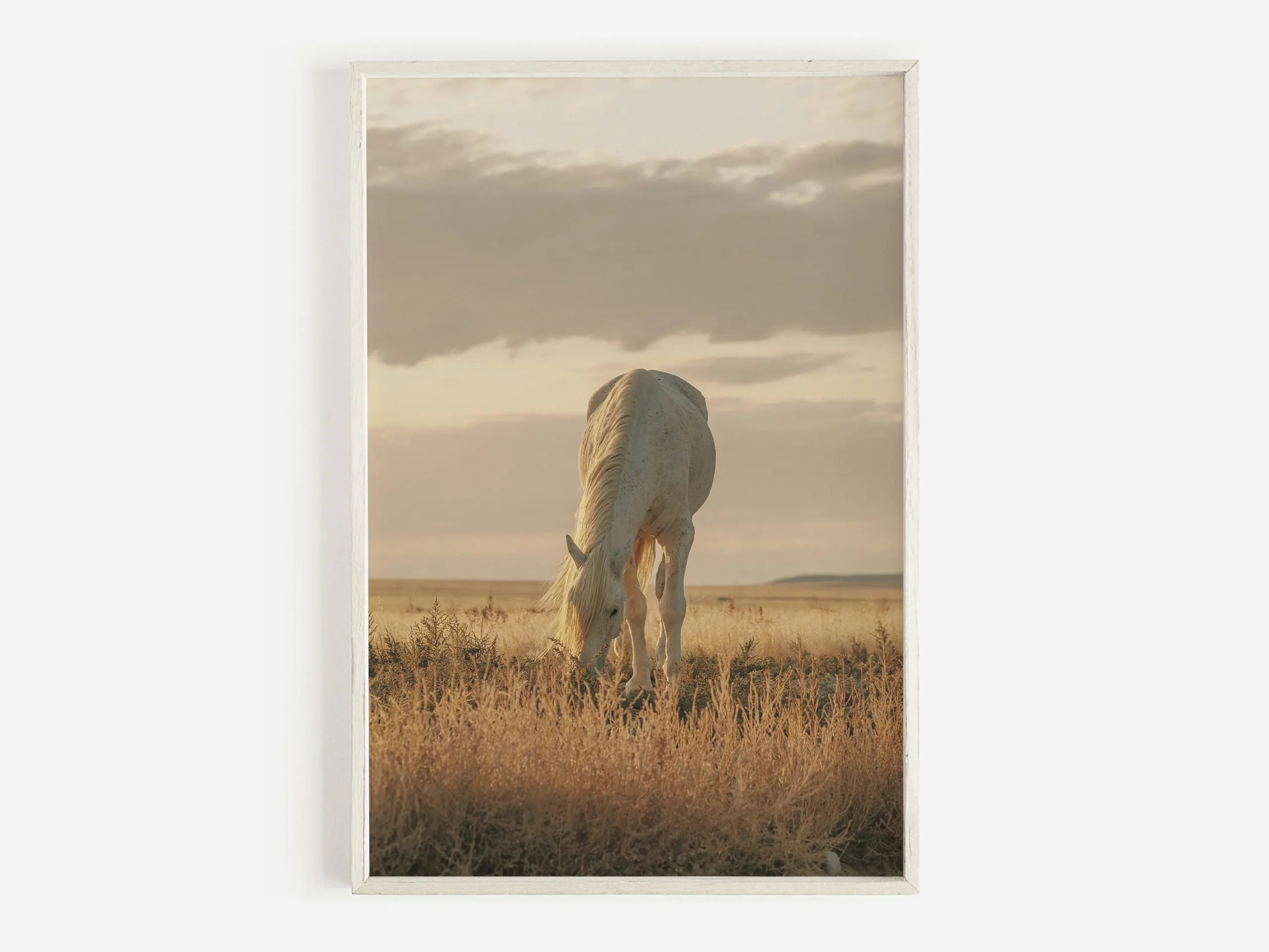 Plakat western - bizon, byk i koń Jasnoszary