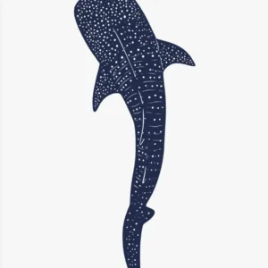 Plakat wieloryby i rekiny - minimalistyczna grafika morska Czerwony