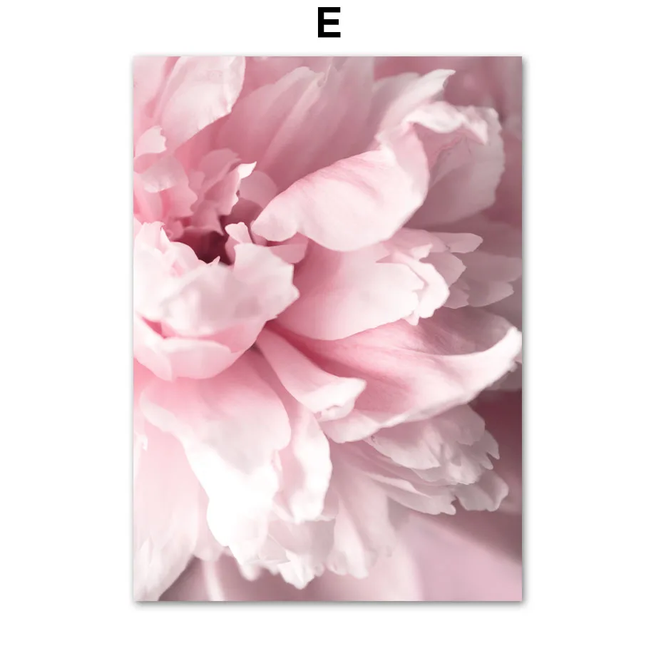 Plakat wiosenne kwiaty - róża, piwonia i sakura Fioletowy