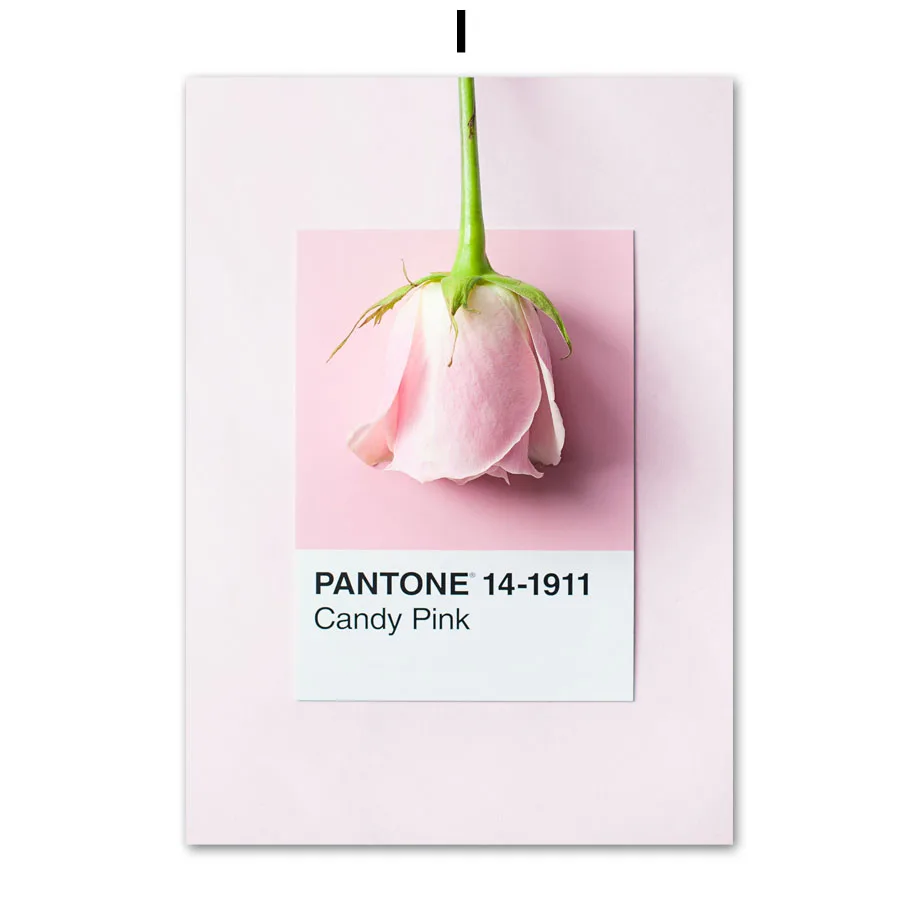 Plakat wiosenne kwiaty - róża, piwonia i sakura Granatowy