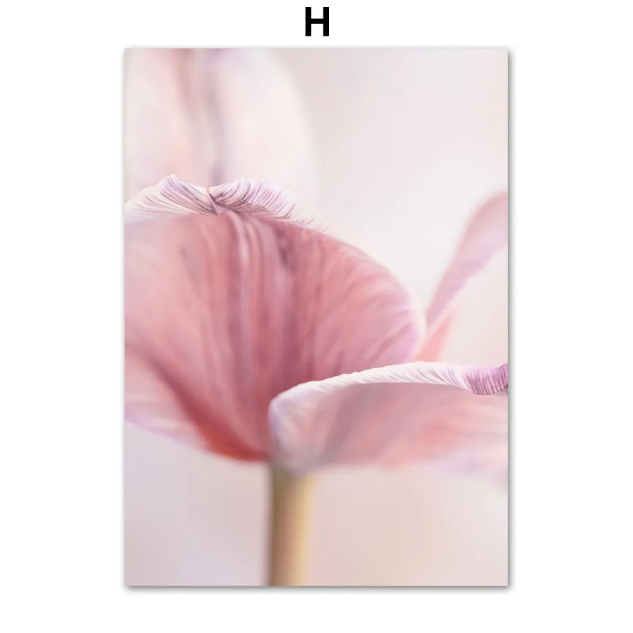 Plakat wiosenne kwiaty - róża, piwonia i sakura Niebieski