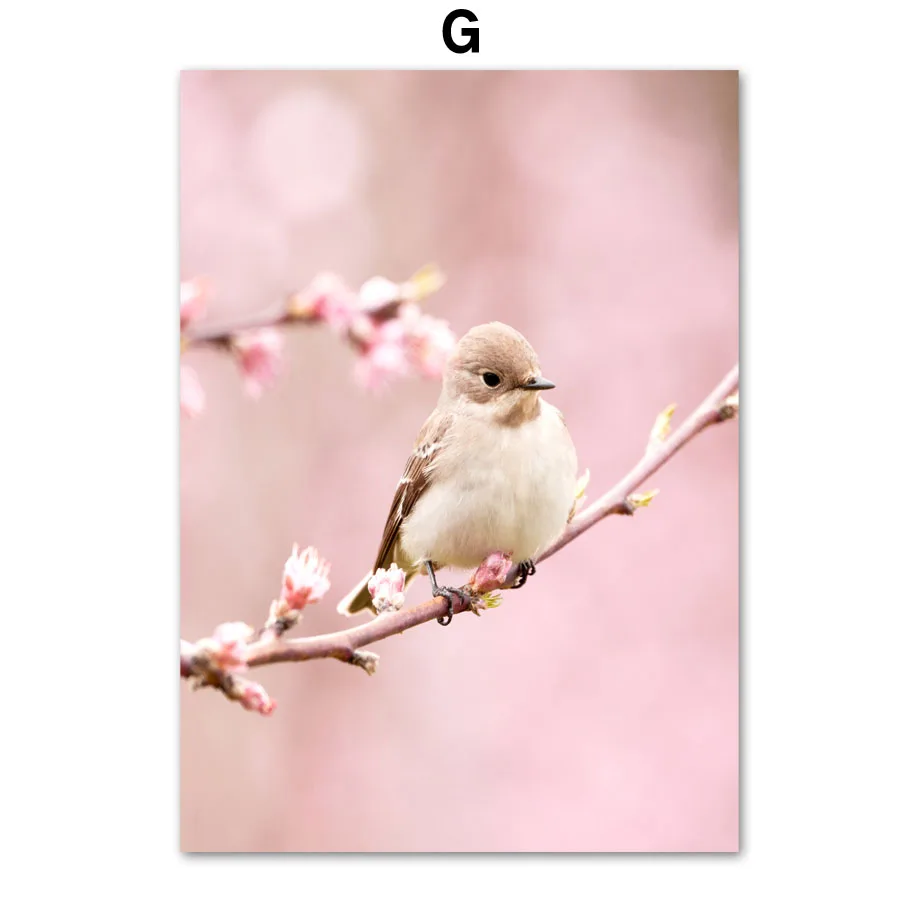 Plakat wiosenne kwiaty - róża, piwonia i sakura Zielony