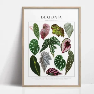 Zielone liście botaniczne Granatowy