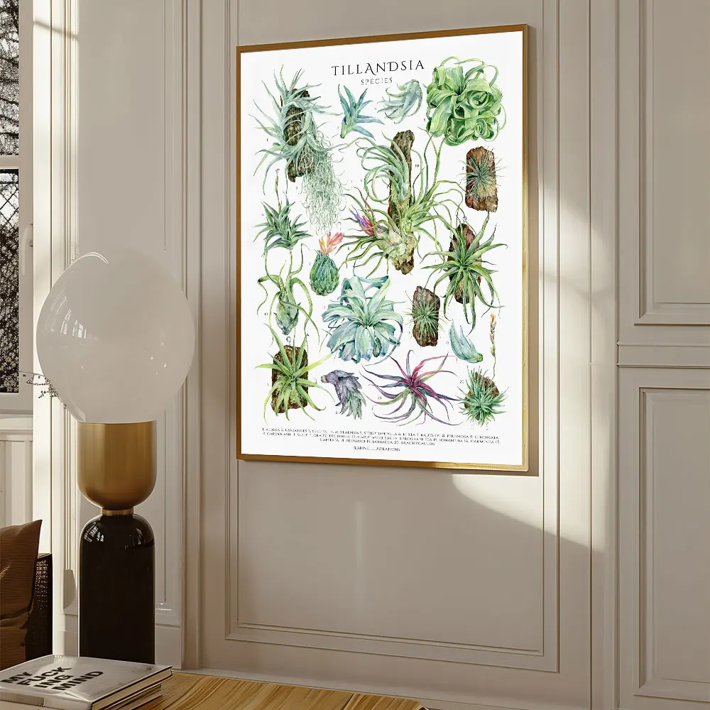 Zielone botaniczne liście - plakat z roślinami Wzór 8