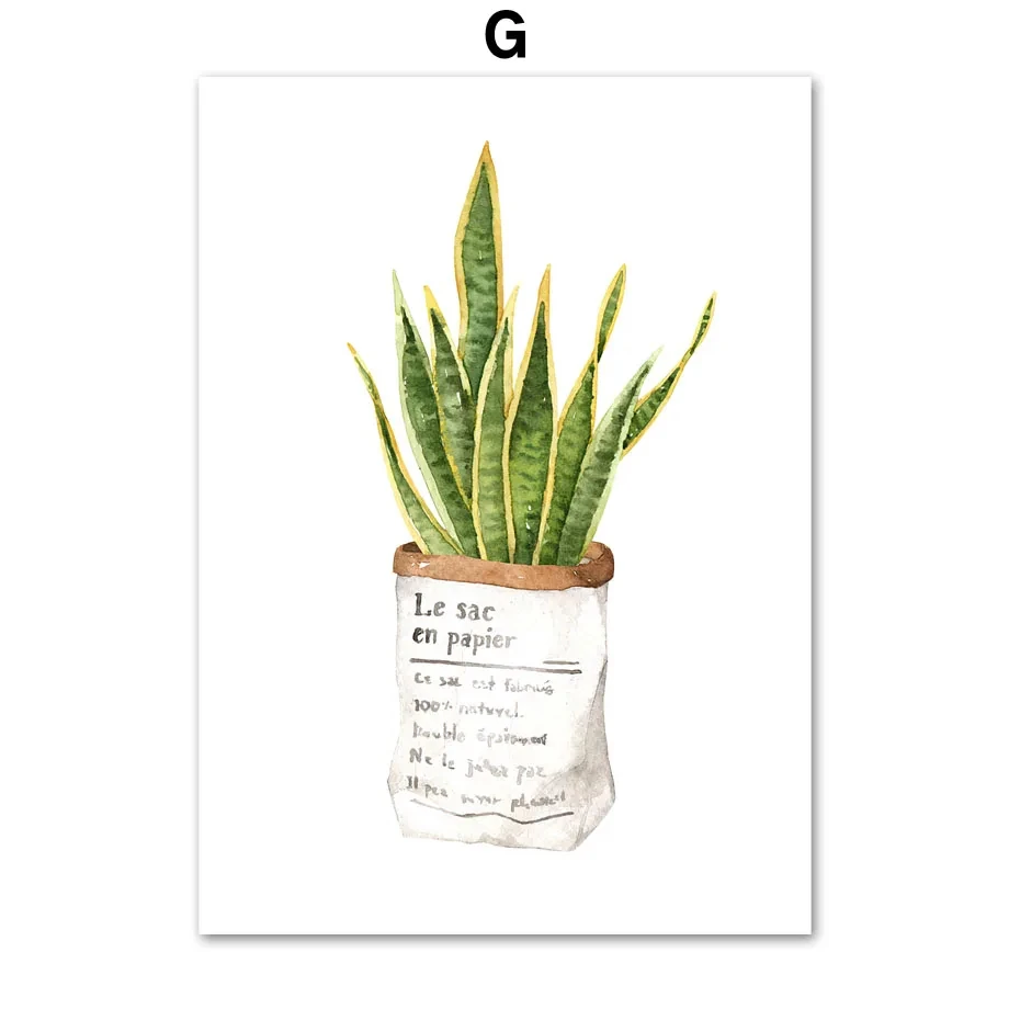Zielone rośliny i tygrys - botaniczny plakat na płótnie Zielony