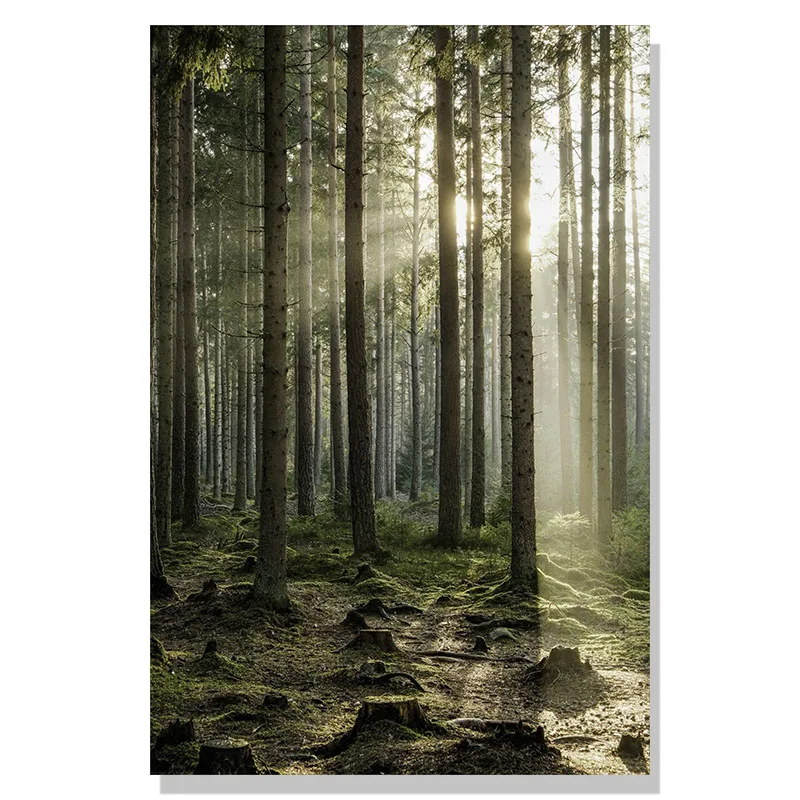 Plakat zimowy las z jeleniem i sową Niebieski