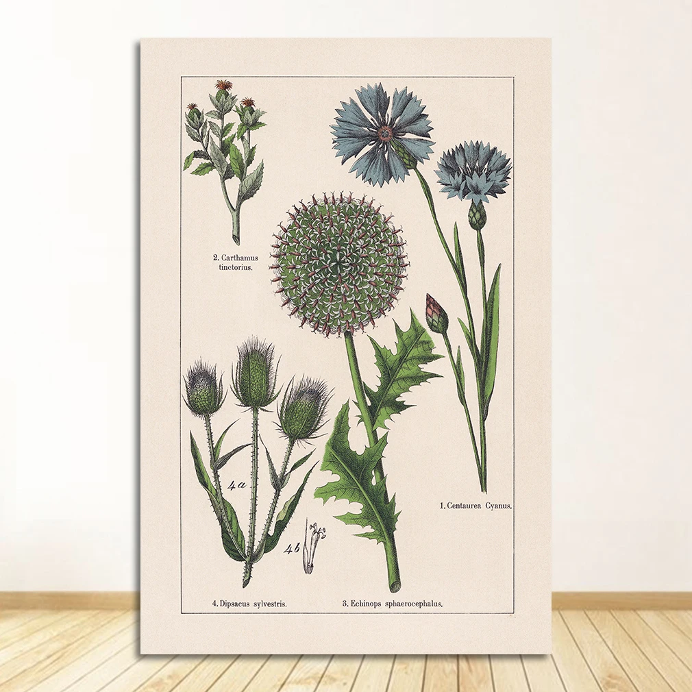 Vintage zioła botaniczne Fioletowy