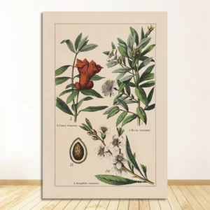 Vintage zioła botaniczne Jasnozielony