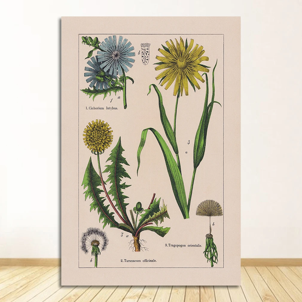 Vintage zioła botaniczne żółty
