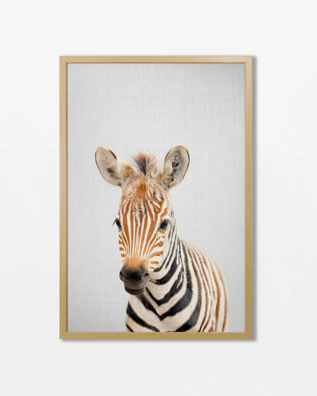 Zwierzątka safari – plakat do pokoju dziecka Sku 9