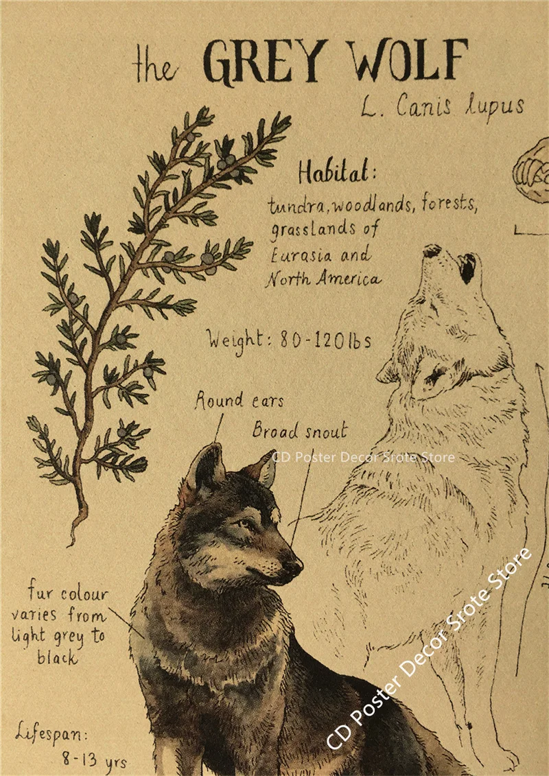 Plakat zwierzęta natury na papierze kraft Fioletowy