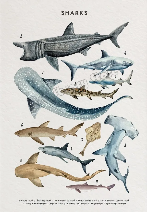 Życie oceanu - wieloryb i morskie stworzenia Burgundia