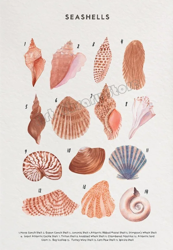 Życie oceanu - wieloryb i morskie stworzenia Fioletowy
