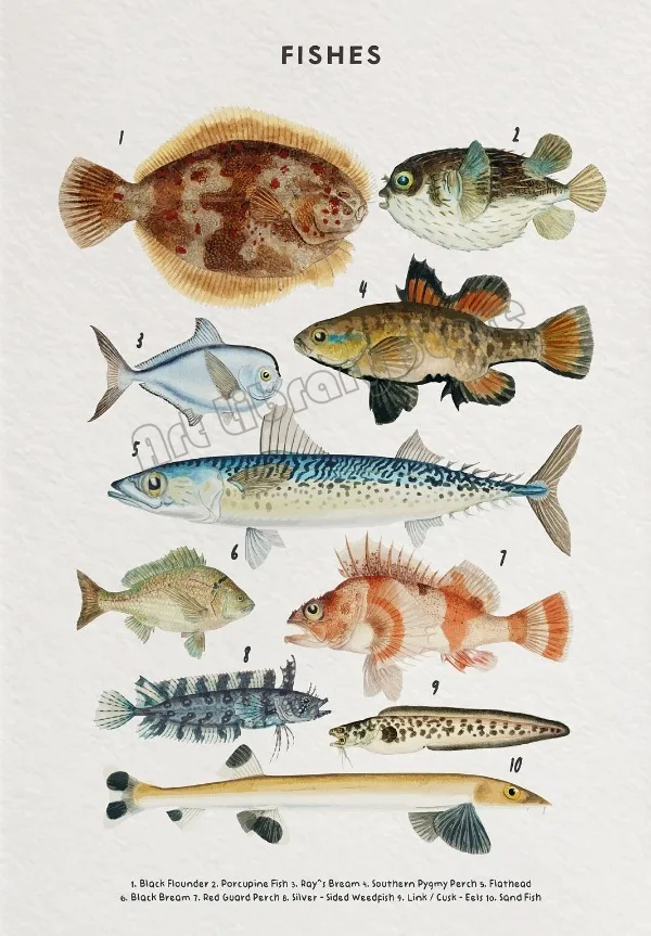 Życie oceanu - wieloryb i morskie stworzenia Jasnoszary