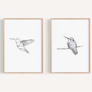 Kolibry retro - zestaw 2 plakatów Wzór 1