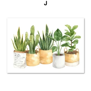 Plakaty botaniczne - kaktusy i monstera w stylu skandynawskim Wzór 1