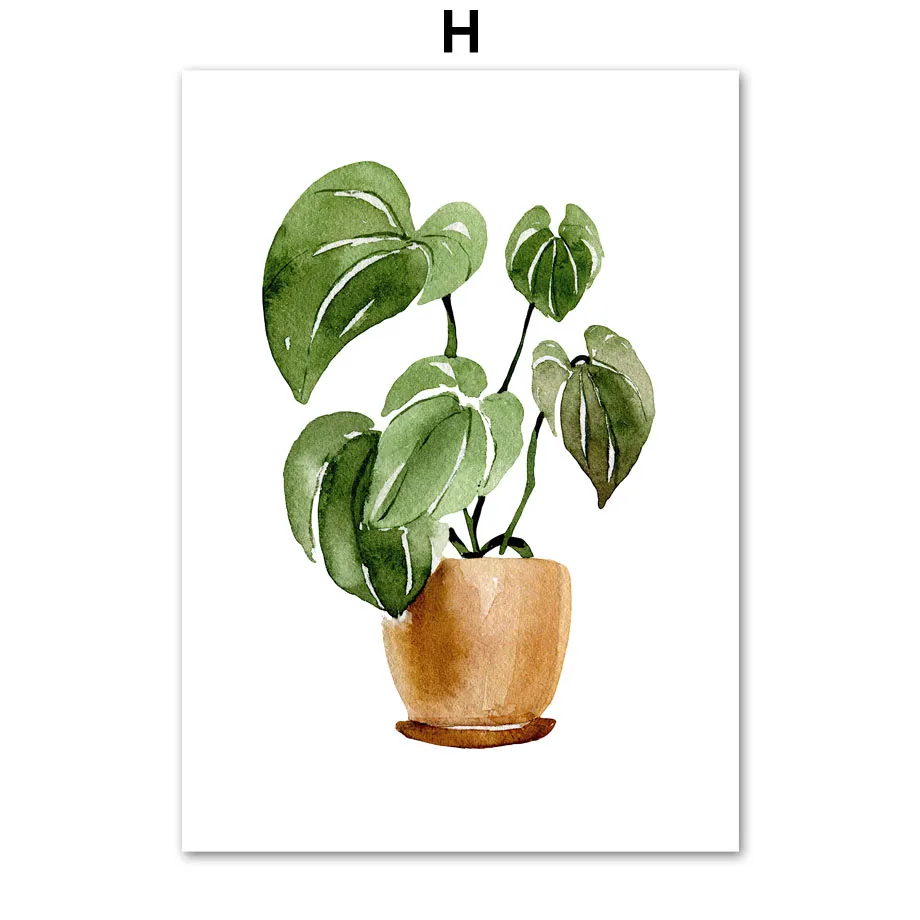 Plakaty botaniczne - kaktusy i monstera w stylu skandynawskim Wzór 3