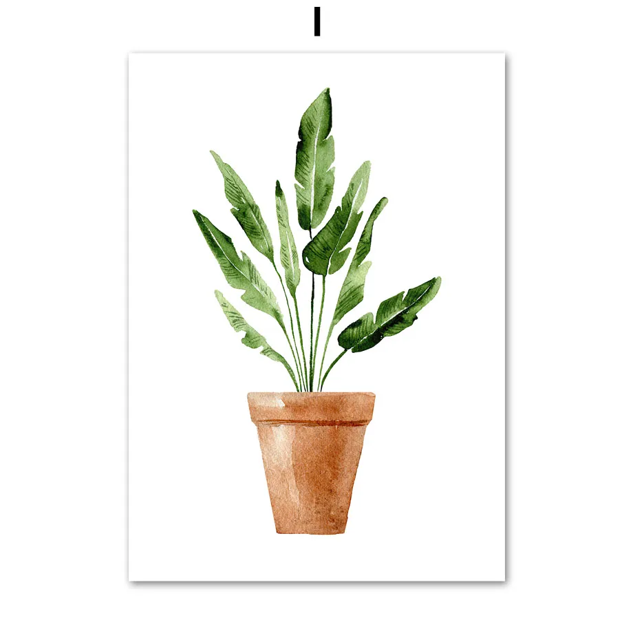 Plakaty botaniczne - kaktusy i monstera w stylu skandynawskim Wzór 7