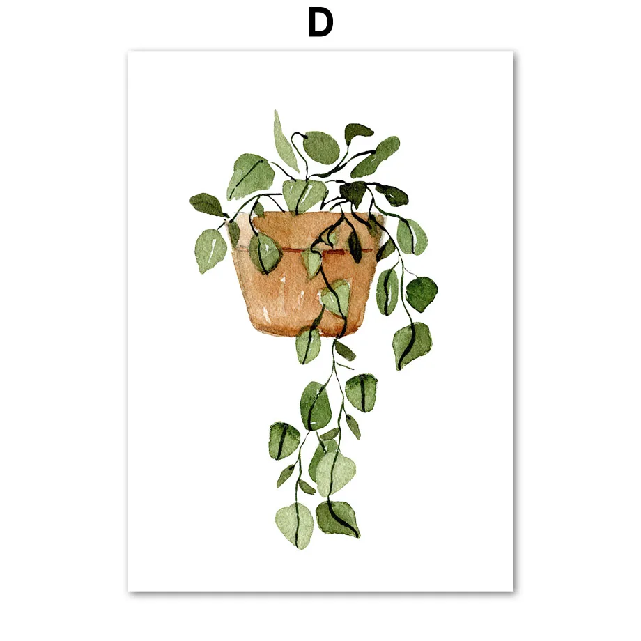Plakaty botaniczne - kaktusy i monstera w stylu skandynawskim Wzór 8