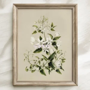 Białe kwiaty botaniczne - plakat vintage Biały