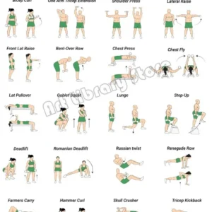 Hantle i trening siłowy - plakat fitness Burgundia