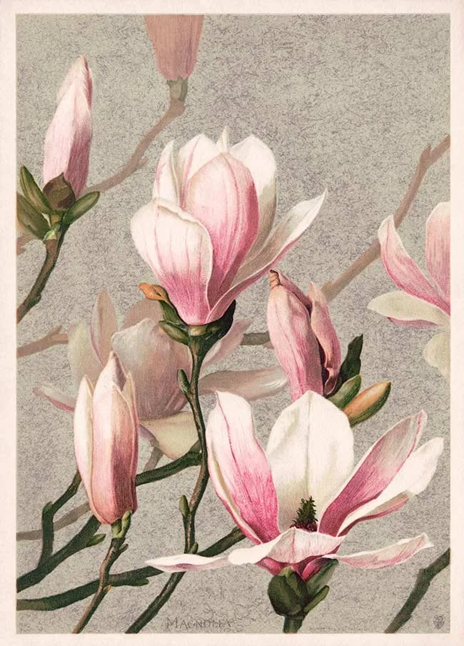 Japońska droga wśród drzew - plakat w stylu ukiyo-e Czarny
